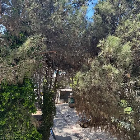 Silent * גולם