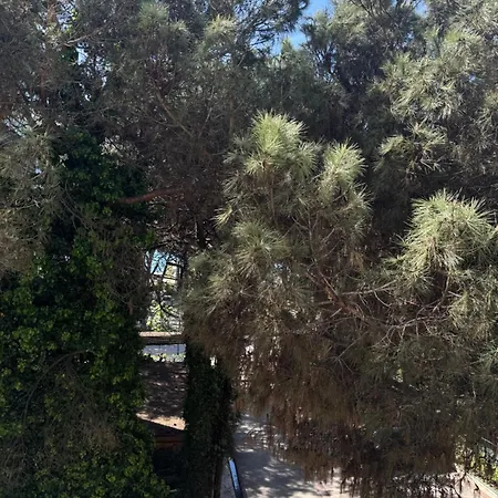 Silent דירה *