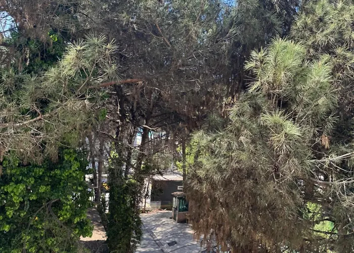 Silent * Golem (Tirana)