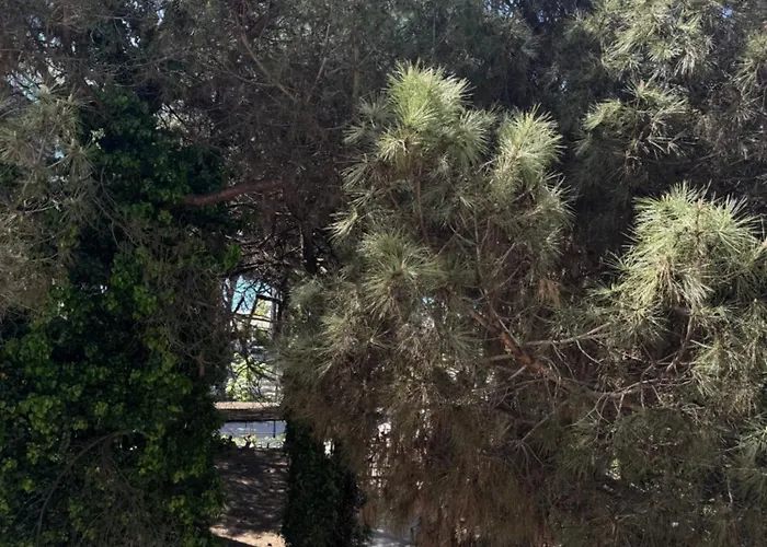 Silent Appartamento *